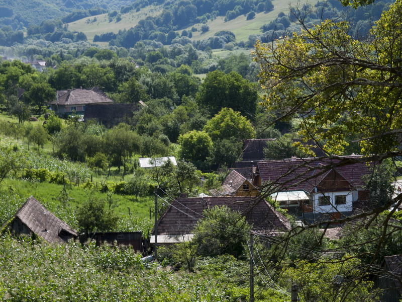 Kőrispatak, Erdély, Szalmakalapfesztivál, fotó: Kelemen Gábor