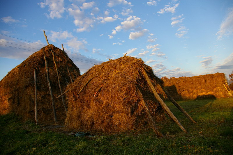 Őrségi vallomások