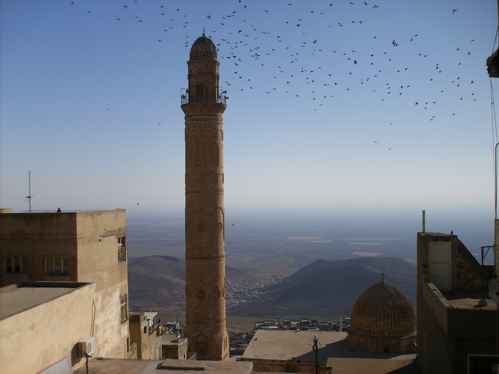 gallery  Mardin