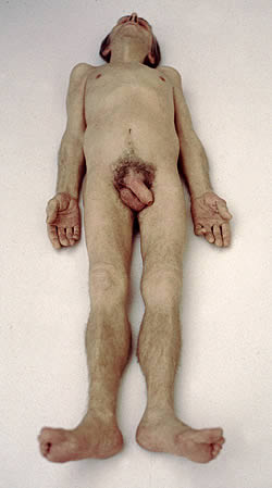 mueck1