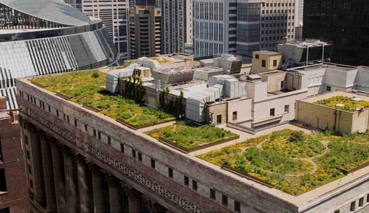 greenroofs1