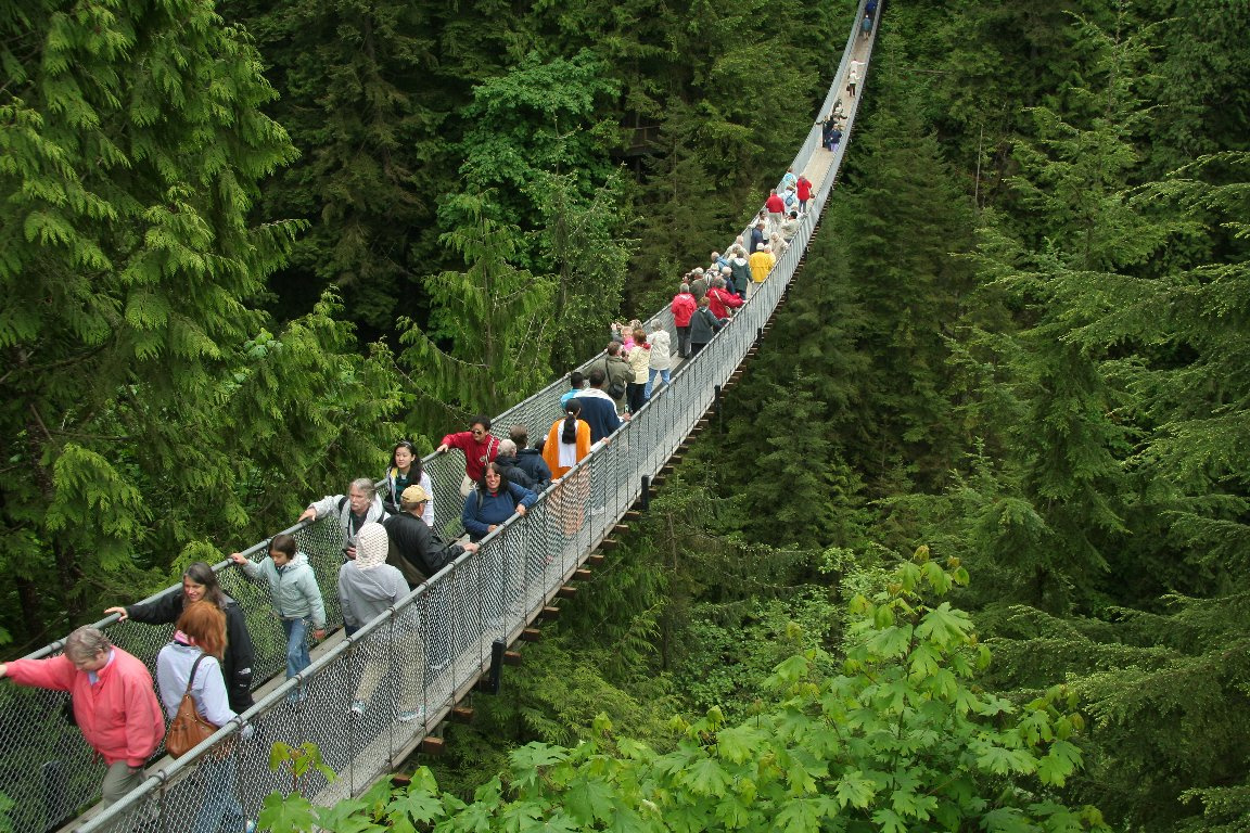 IMG 5829-SuspensionBridge