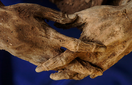 Váci múmiák-kezek