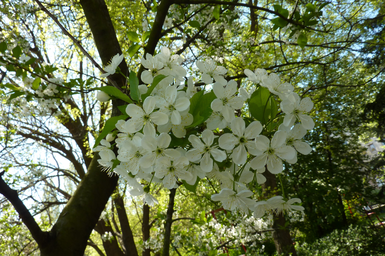 2011. április (130)