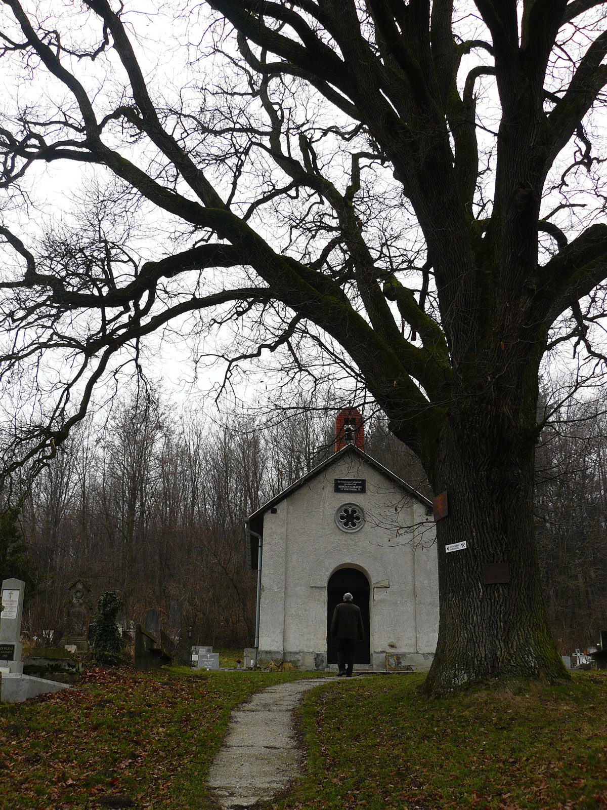 Brennbergbánya, temető