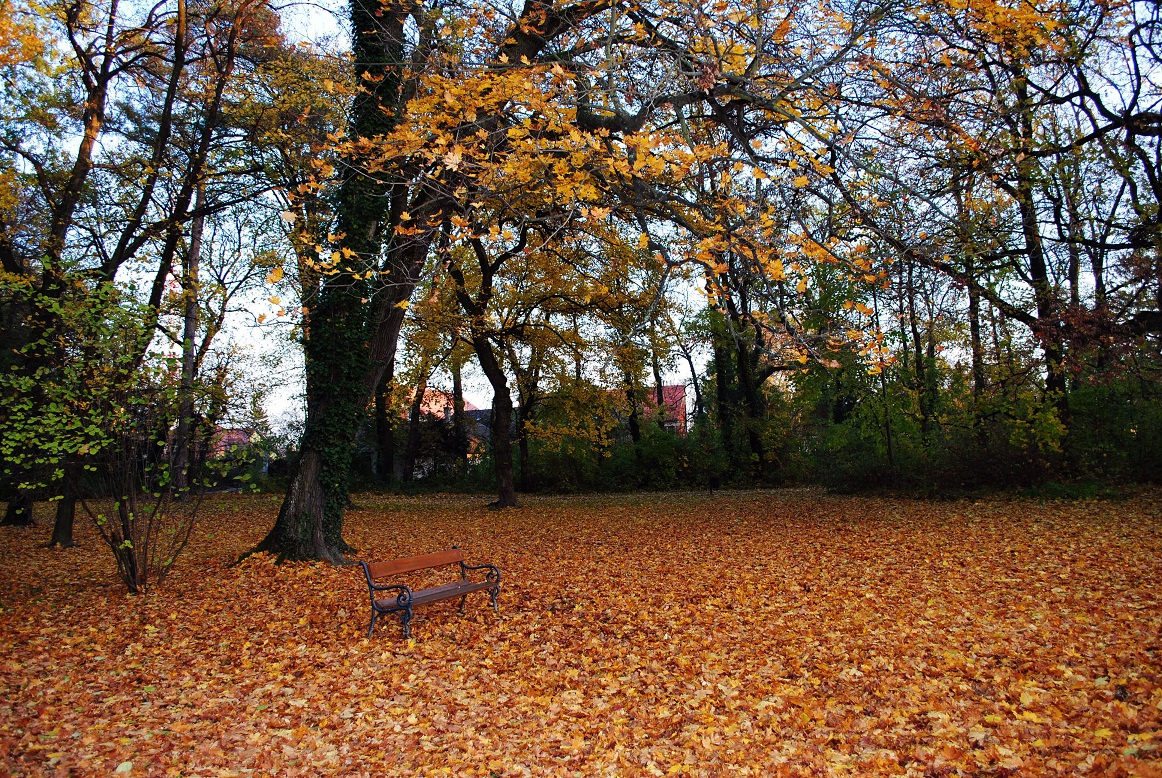 autumn solitude