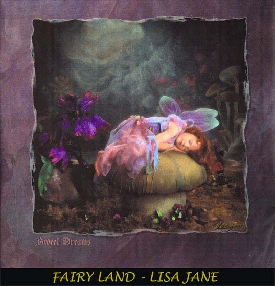 FairyLand-LisaMurphy