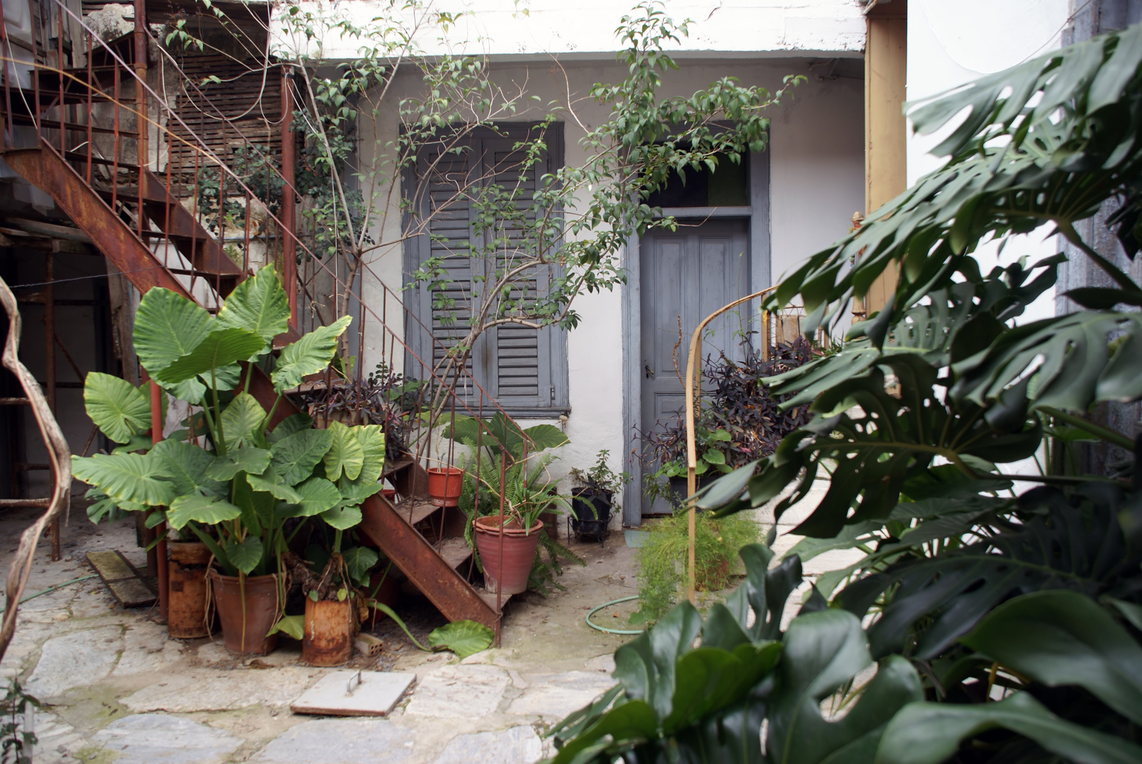 Patio in Athens, Greece