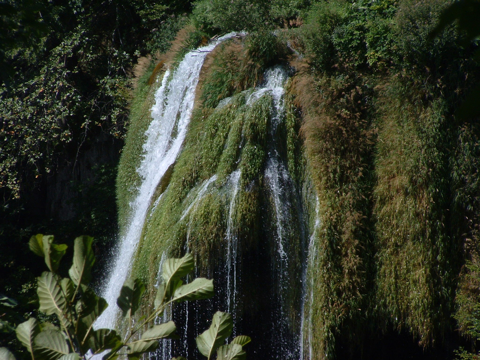 Plitvice099