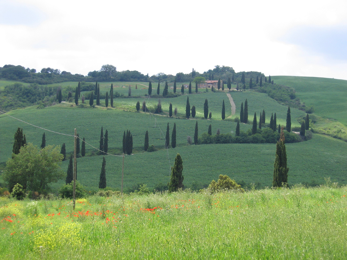 33-La Foce