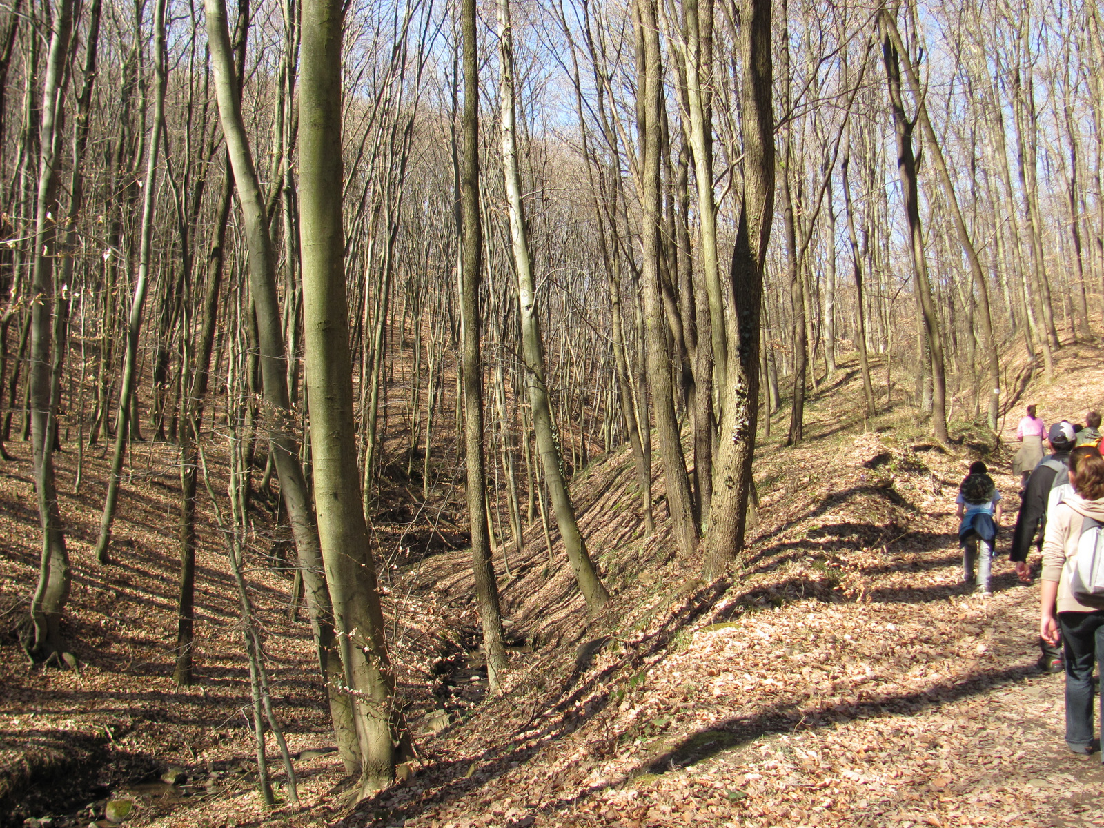 2011.03.14.Éger völgy-Orfű-égervölgy 002