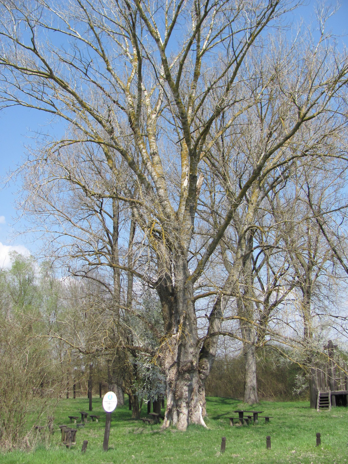 2011.04.03.Matty Madár emlékpark