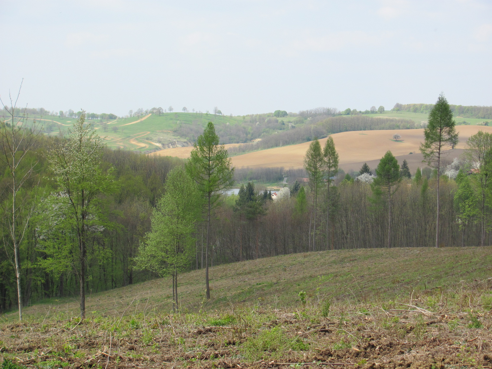 2011.04.17.Magyaregregy-Komló 215