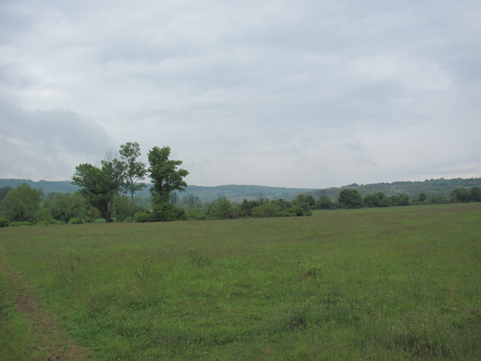 2011.05.08.Óbudavár teljesítménytúra 038