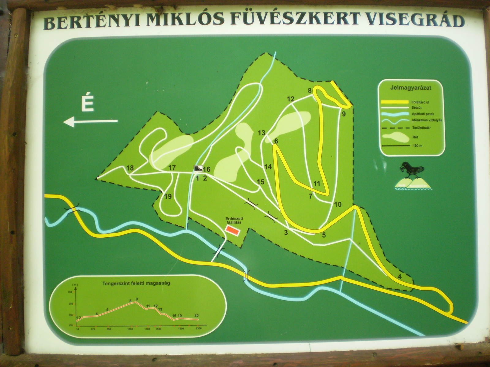 2008 nyár Visegrád 221