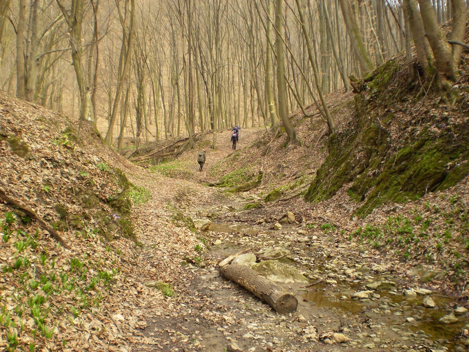 Nagy Kő oldal