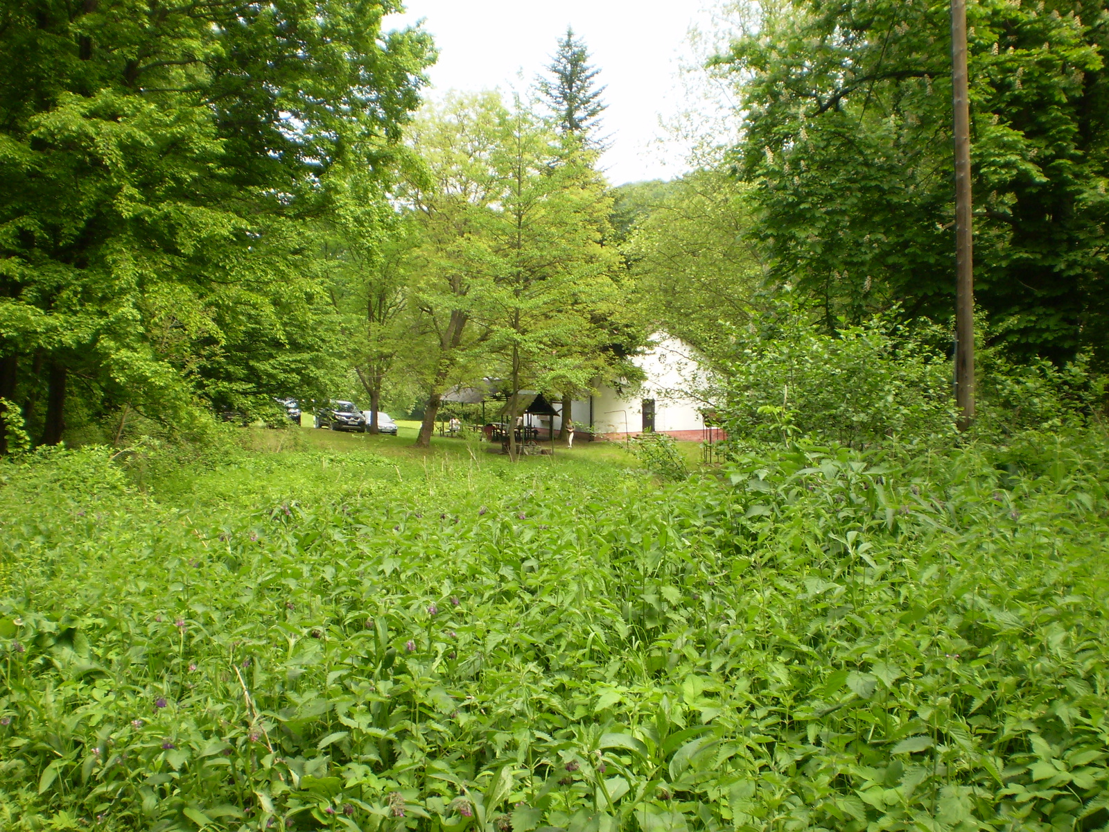 20090502Mecsek50 089