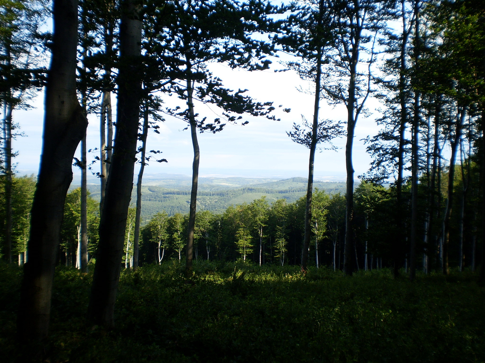 2009.07.25.II Béla 35 TT 022