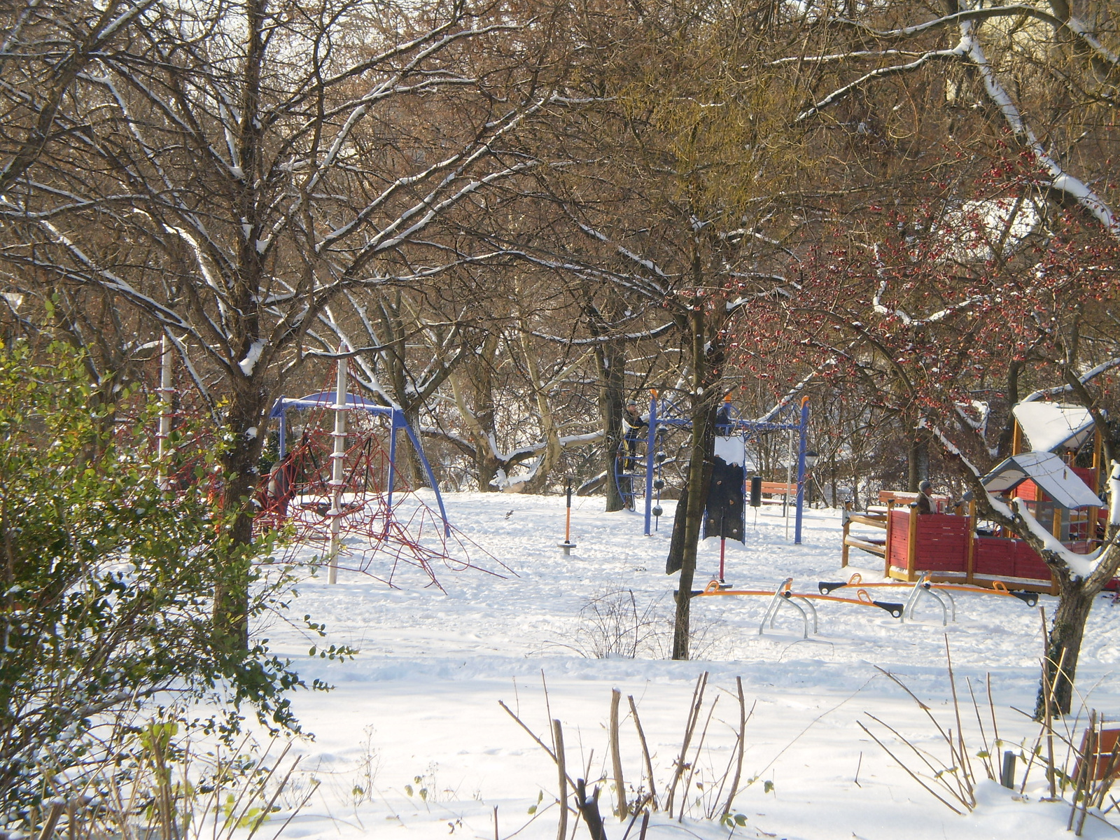 20091220Téli séta a Mecseki parkerdőben 005