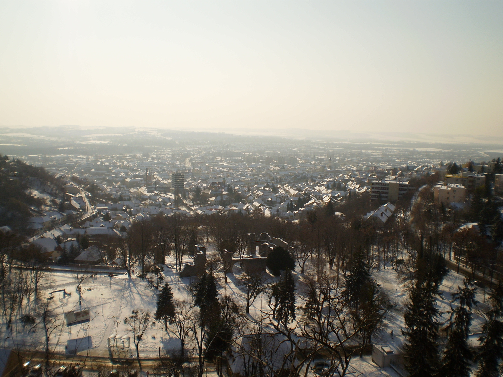 20091220Téli séta a Mecseki parkerdőben 020