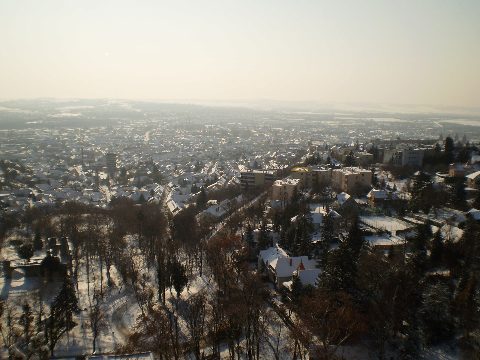 20091220Téli séta a Mecseki parkerdőben 029