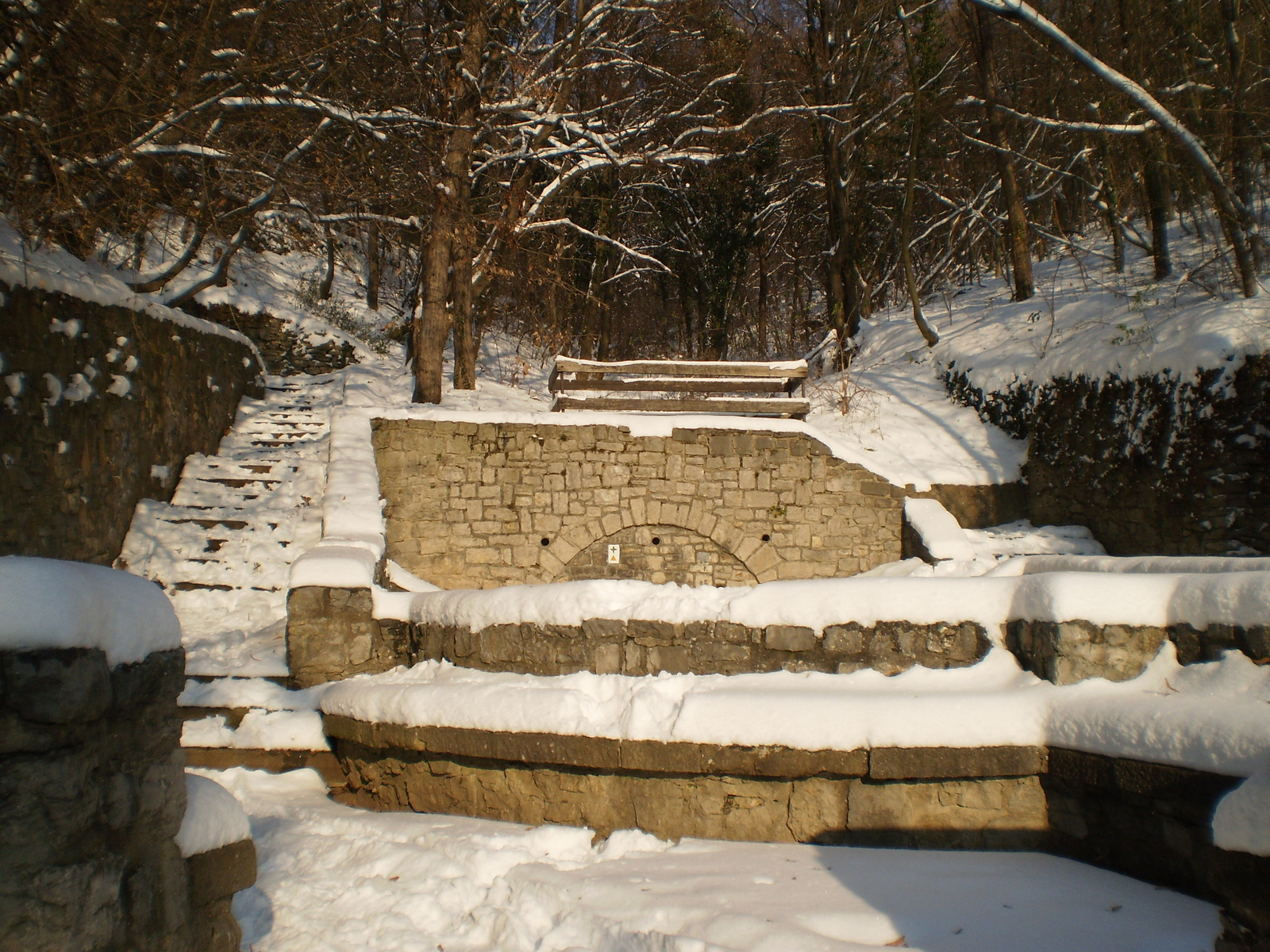 20091220Téli séta a Mecseki parkerdőben 099