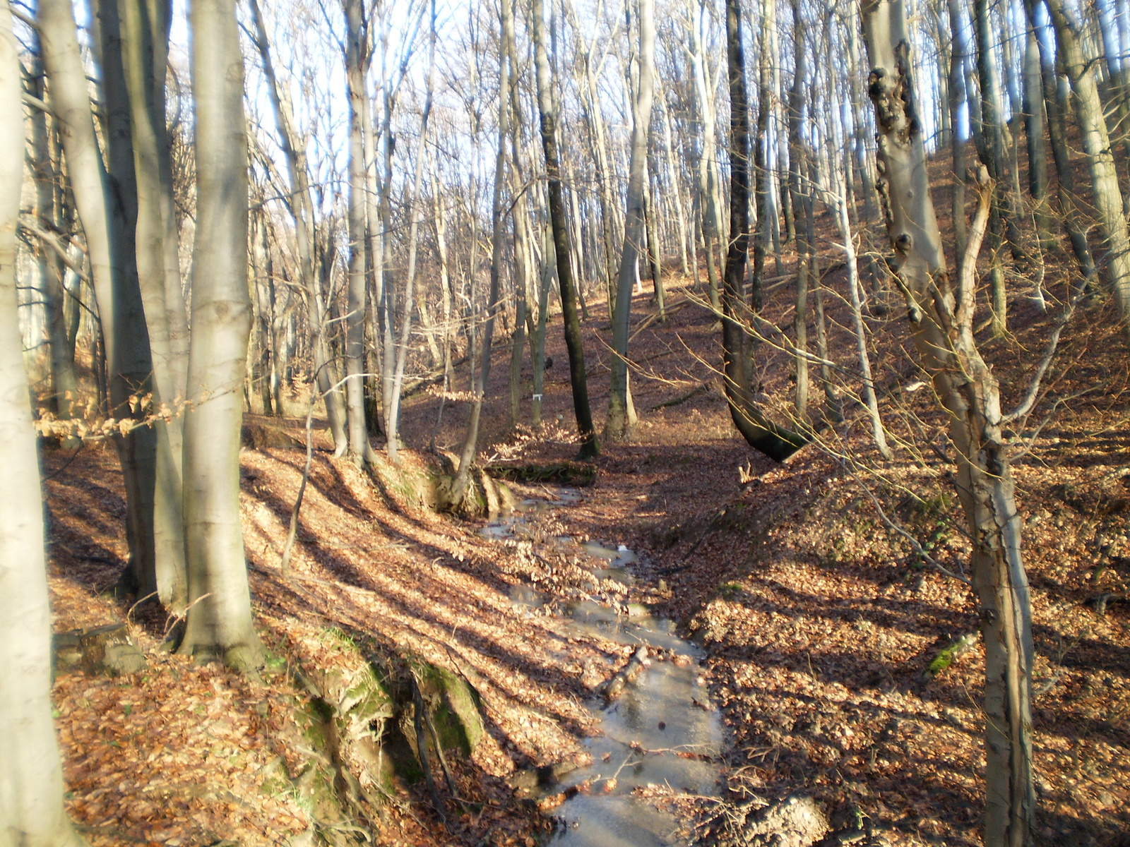 20091226 Jakabhegyi túra 129