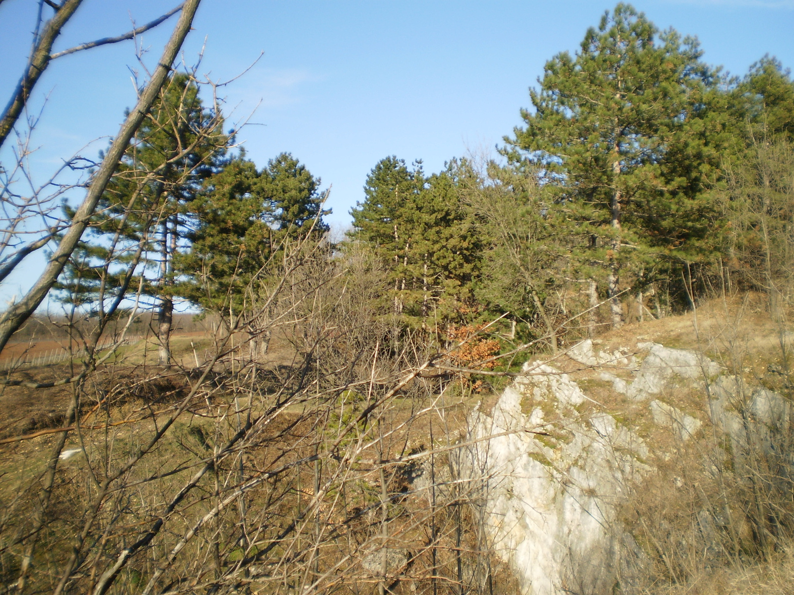 20100227Tenkes hegyen