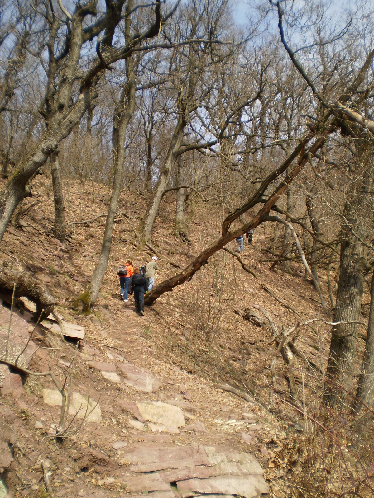 20100320 Babás szerkövek pontőr 084