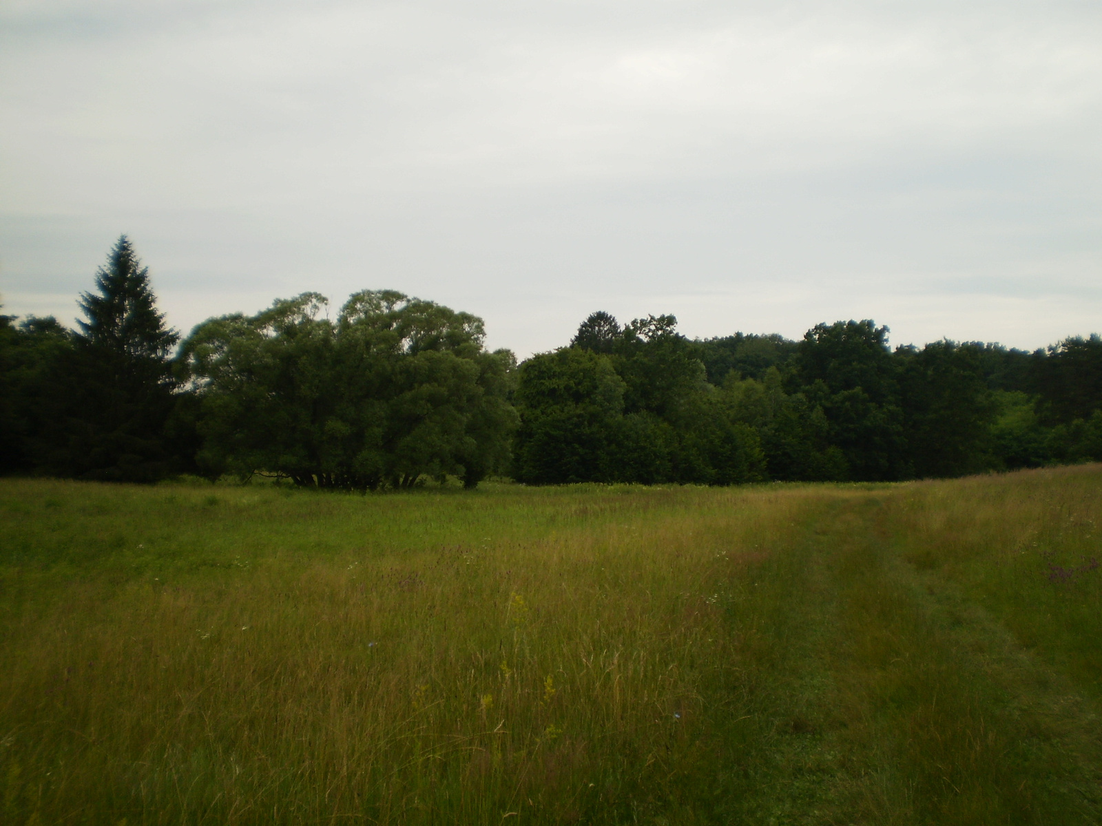 20100626-27 Zalaegerszeg 034