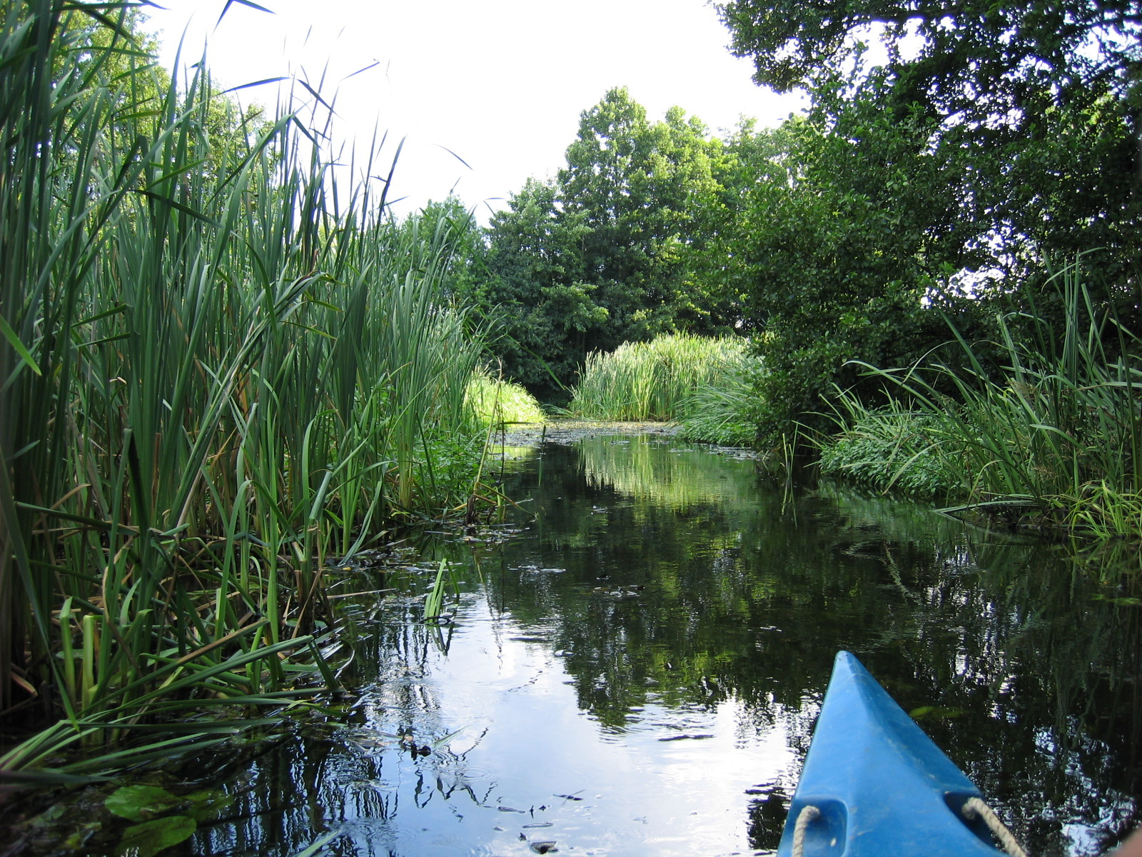 Tisza-túra 068