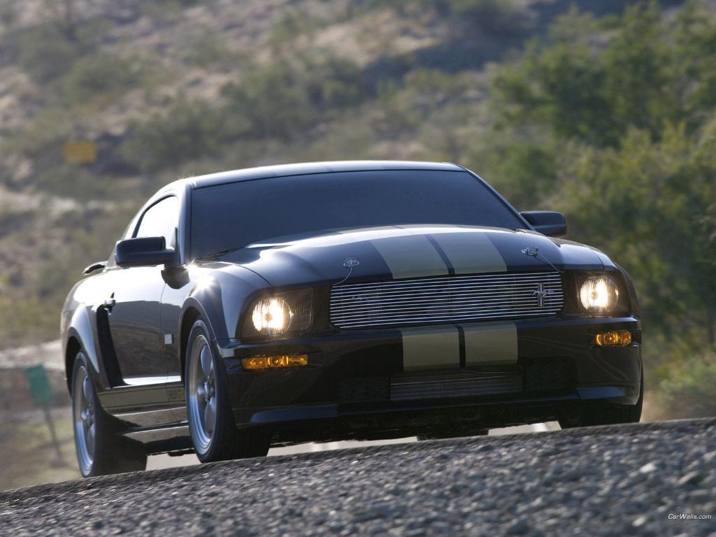 Ford Mustang 291 1024x768