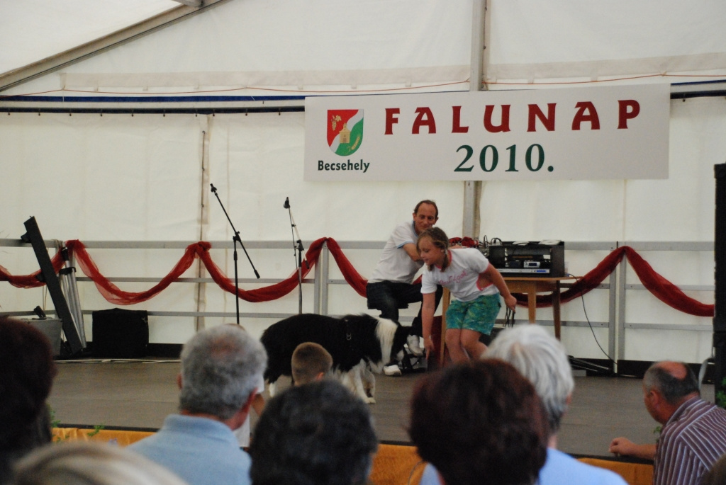 Falunap 2010. 116