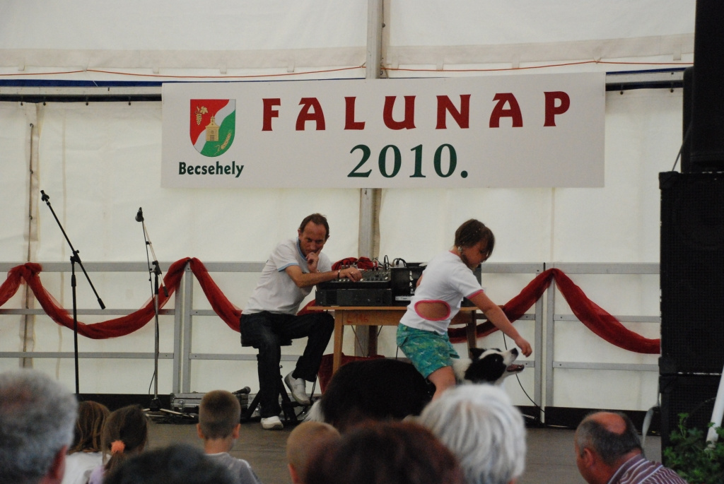 Falunap 2010. 117