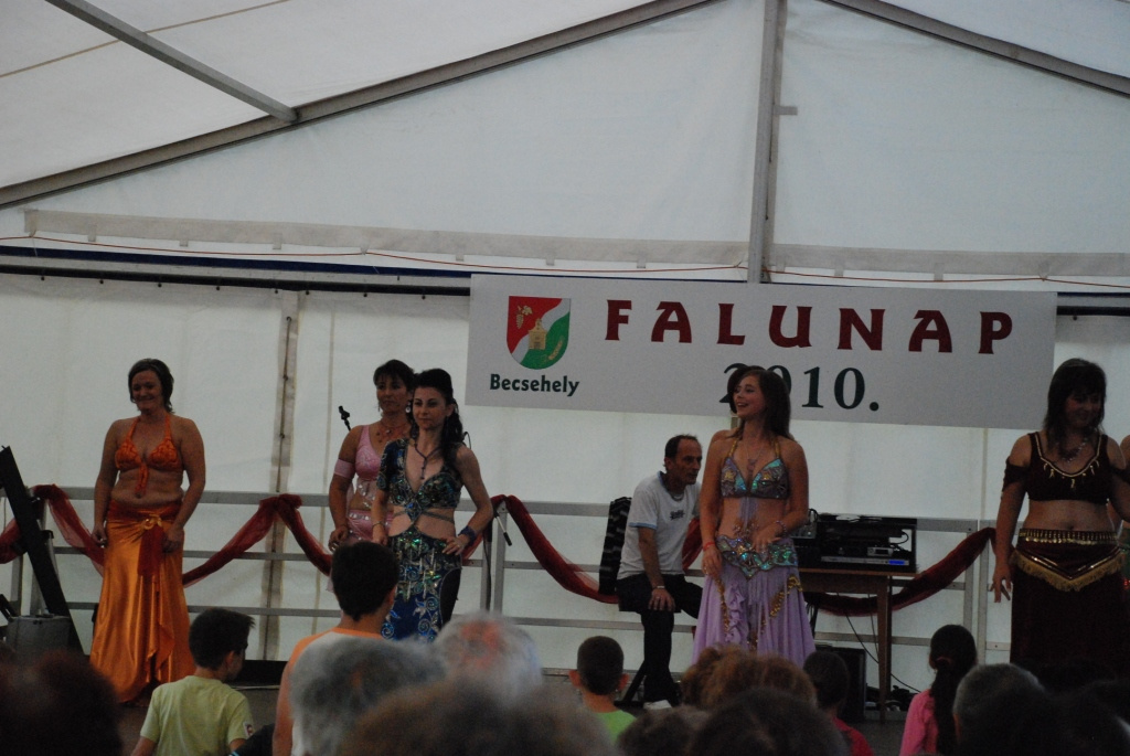 Falunap 2010. 354