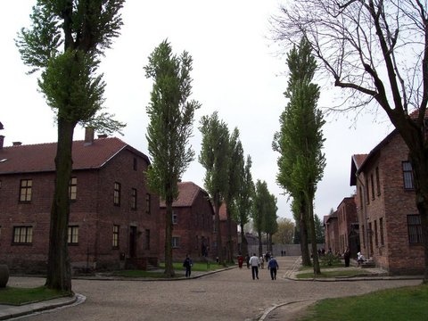 Auschwitz 2007