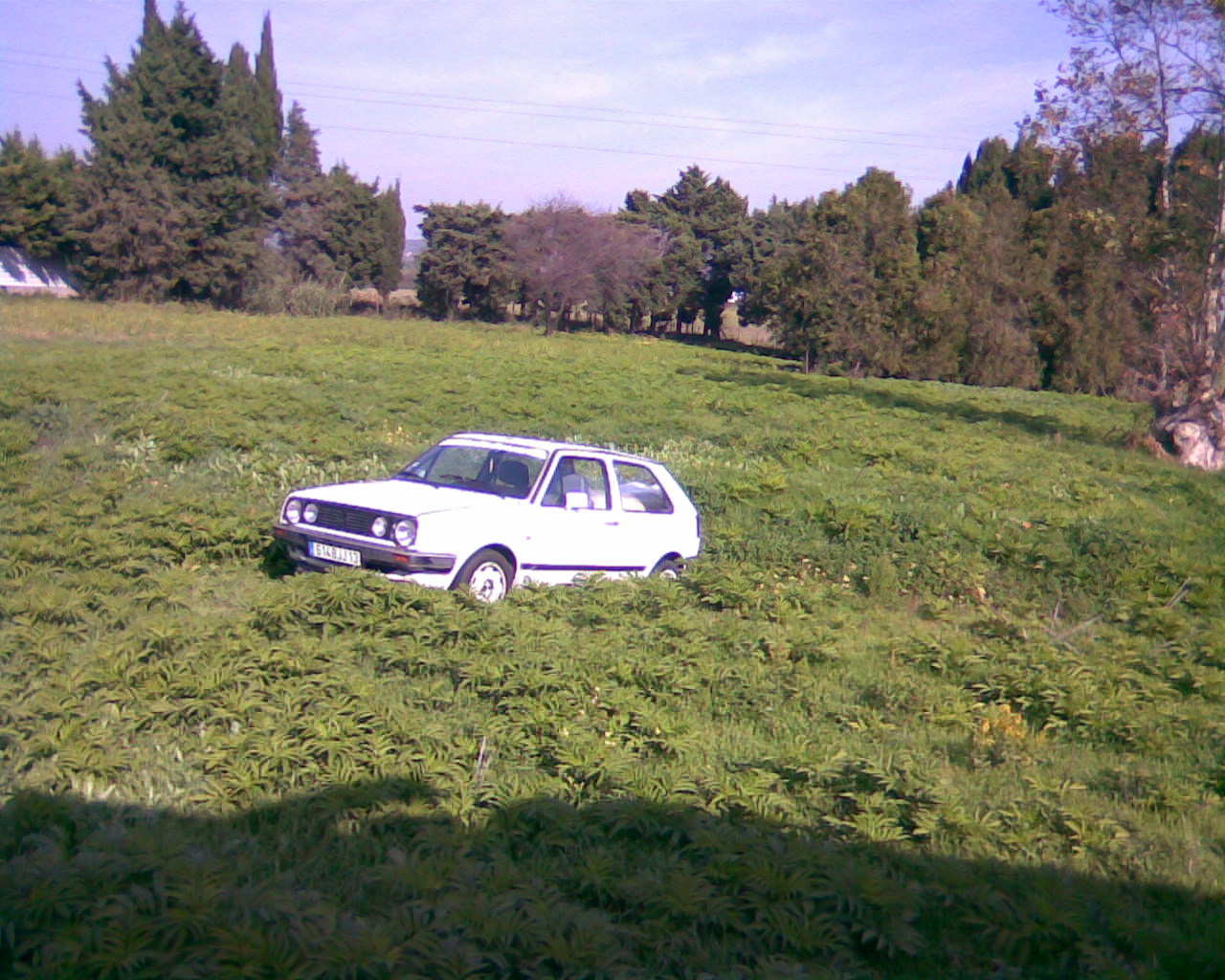 Nyugodt parkoló a zöldben