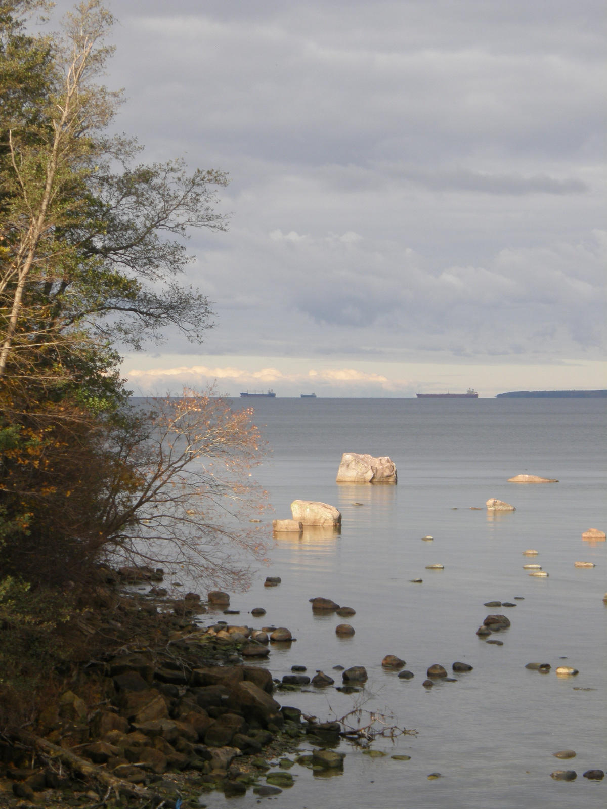 Tallinni-öböl