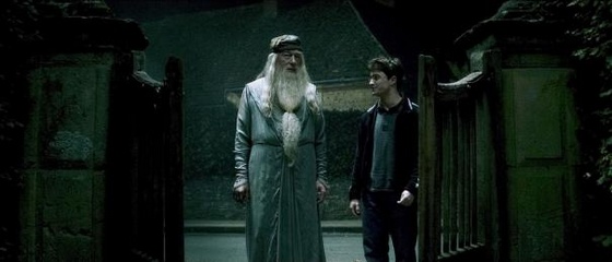 harry-potter-6 (12)