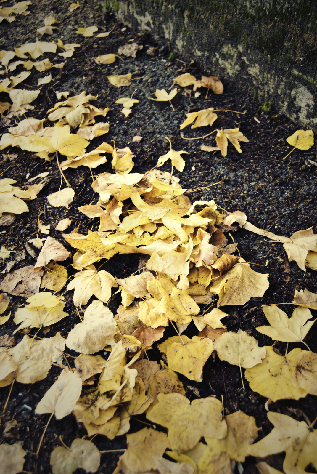 vége az ősznek