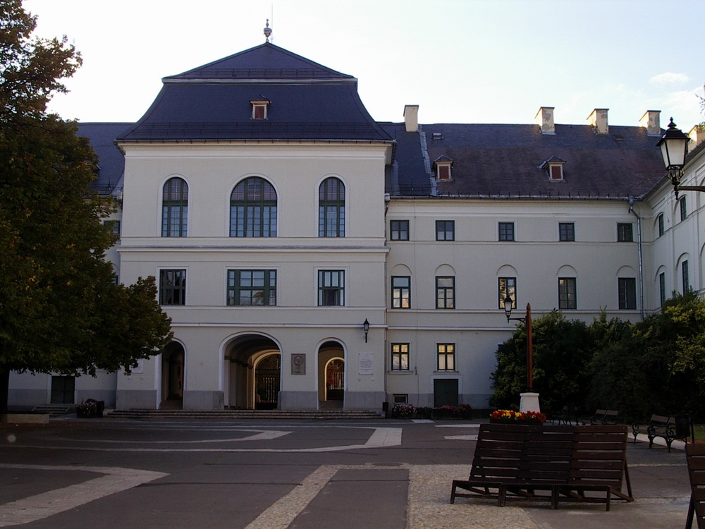 muzeum