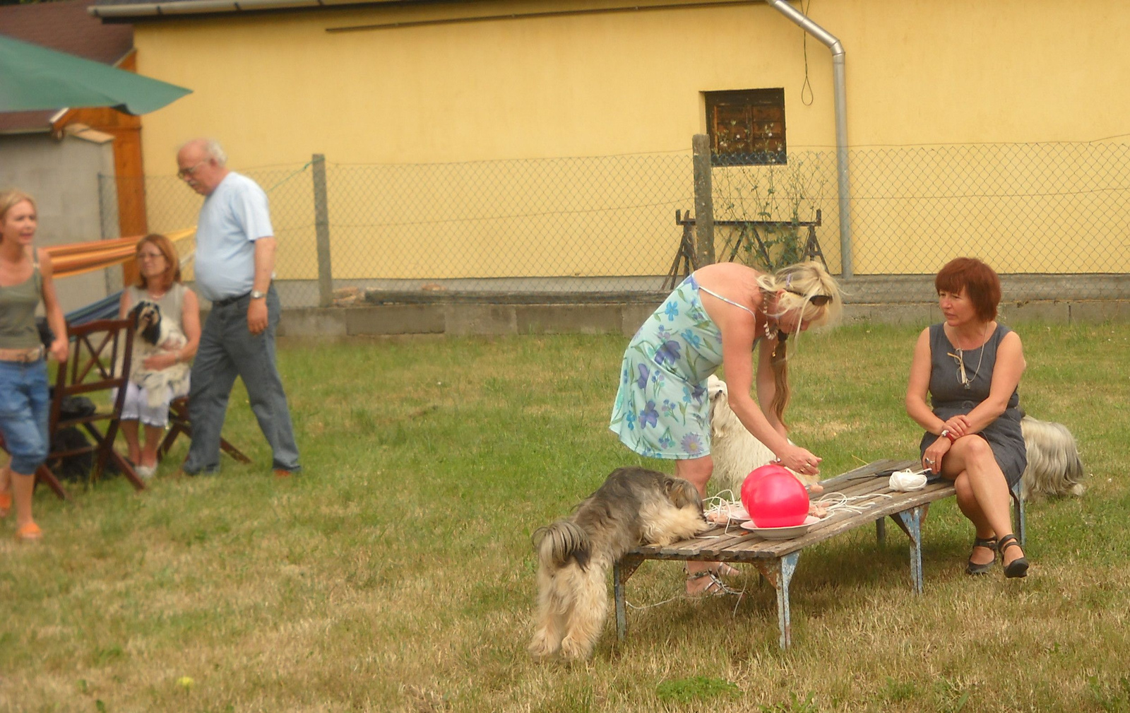 11.06.19.Mágika tanyája 062