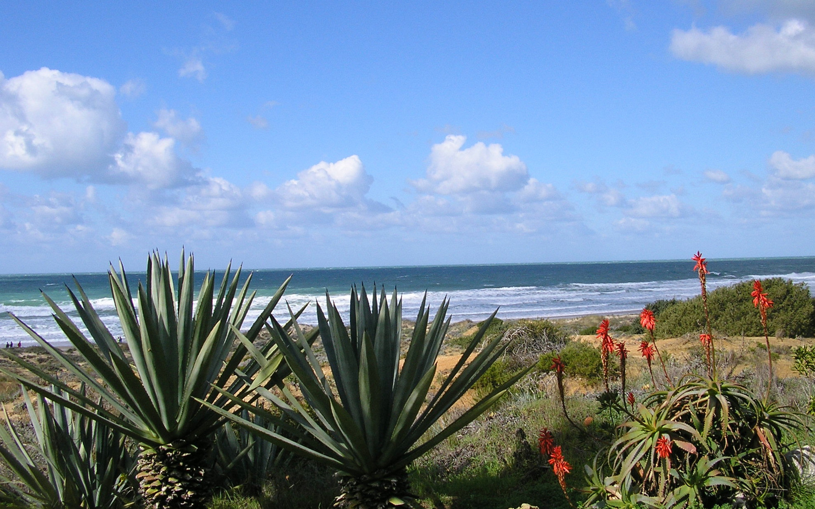 playa de cadiz 30