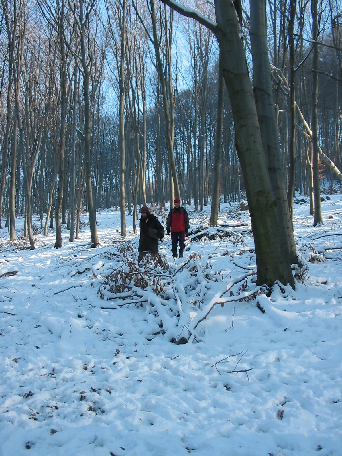 2010 12 30 zengő 052