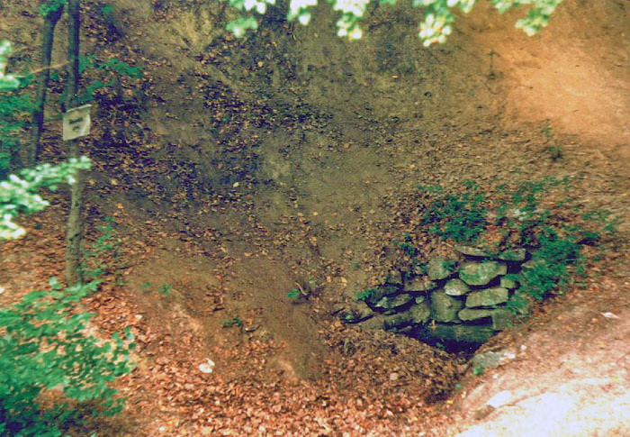 Boszorkány-forrás 1995-ben