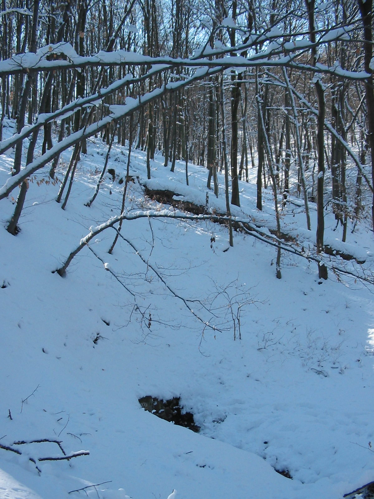 2010 02 02 Orfű-Égervölgy 050