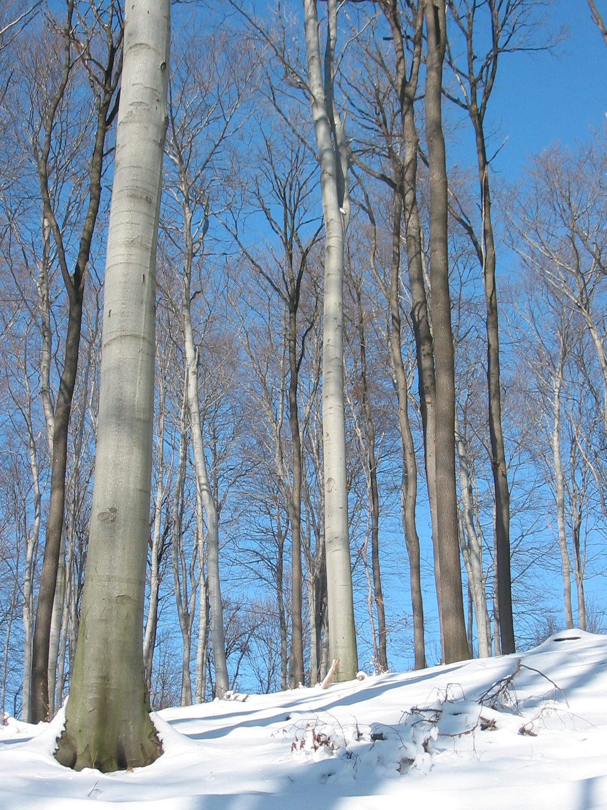 2010 02 02 Orfű-Égervölgy 057