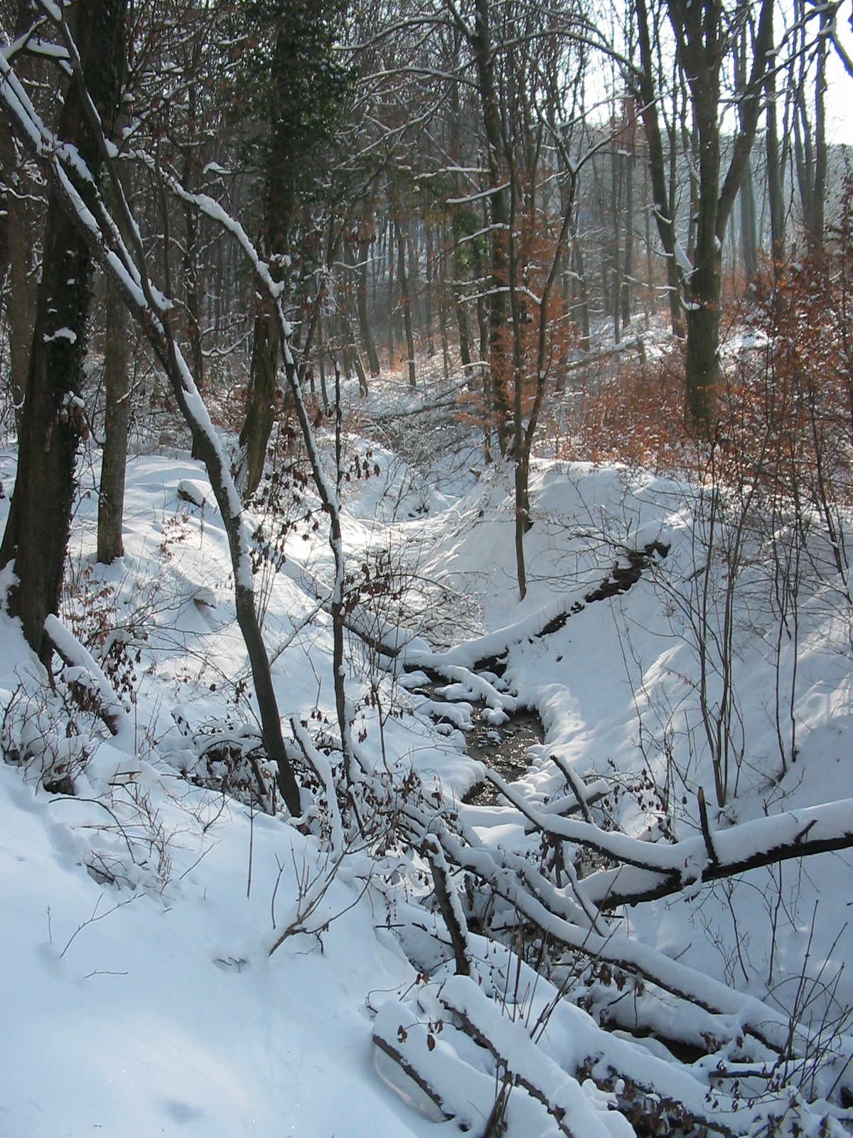 2010 02 09 Komló-Pécsbánya 057