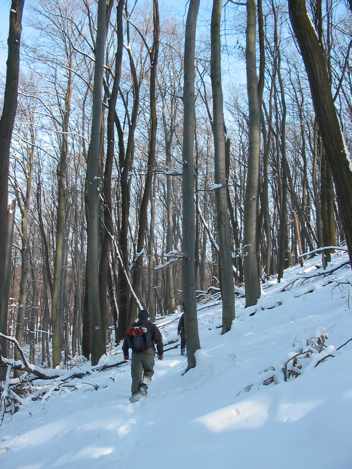 2010 02 09 Komló-Pécsbánya 078