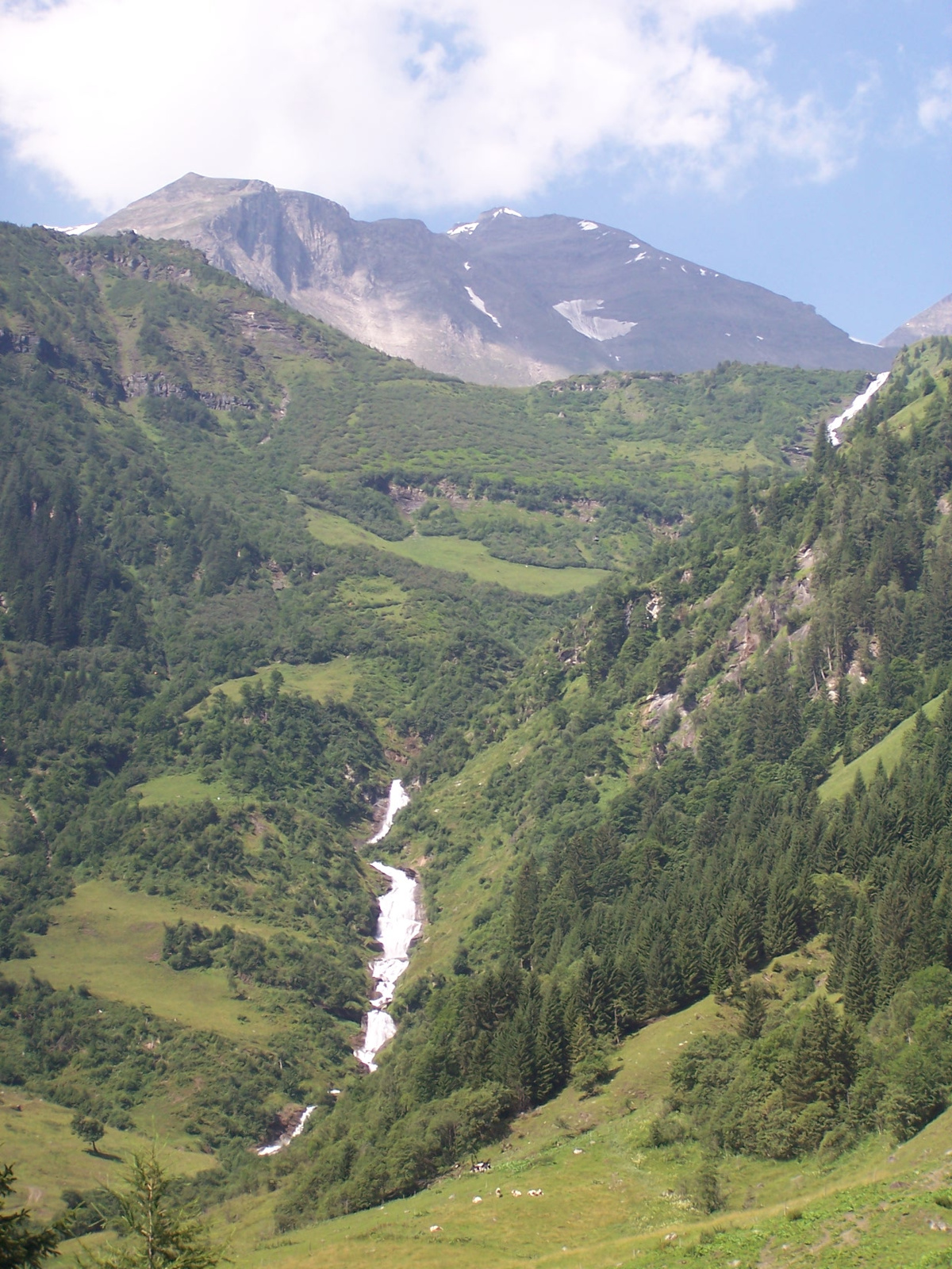 Großglockner (59)